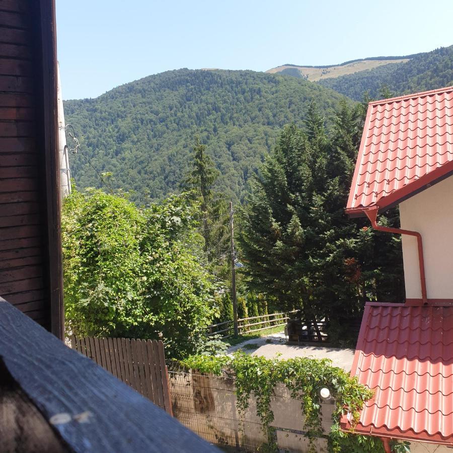 Cabane Sinaia Villa Exterior photo